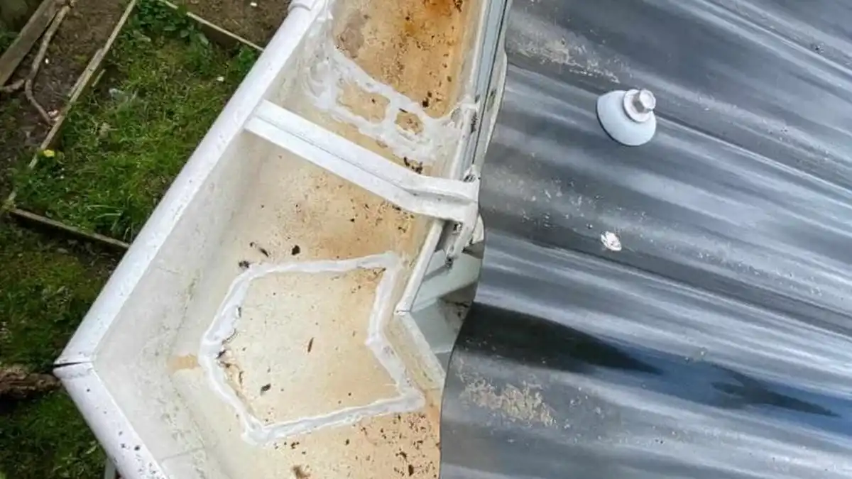 Budget-Friendly Gutter Upgrades for Renovation Projects in Auckland — My Homes Construct Ltd Auckland