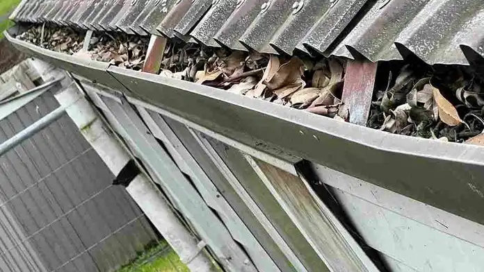 gutter replacement auckland