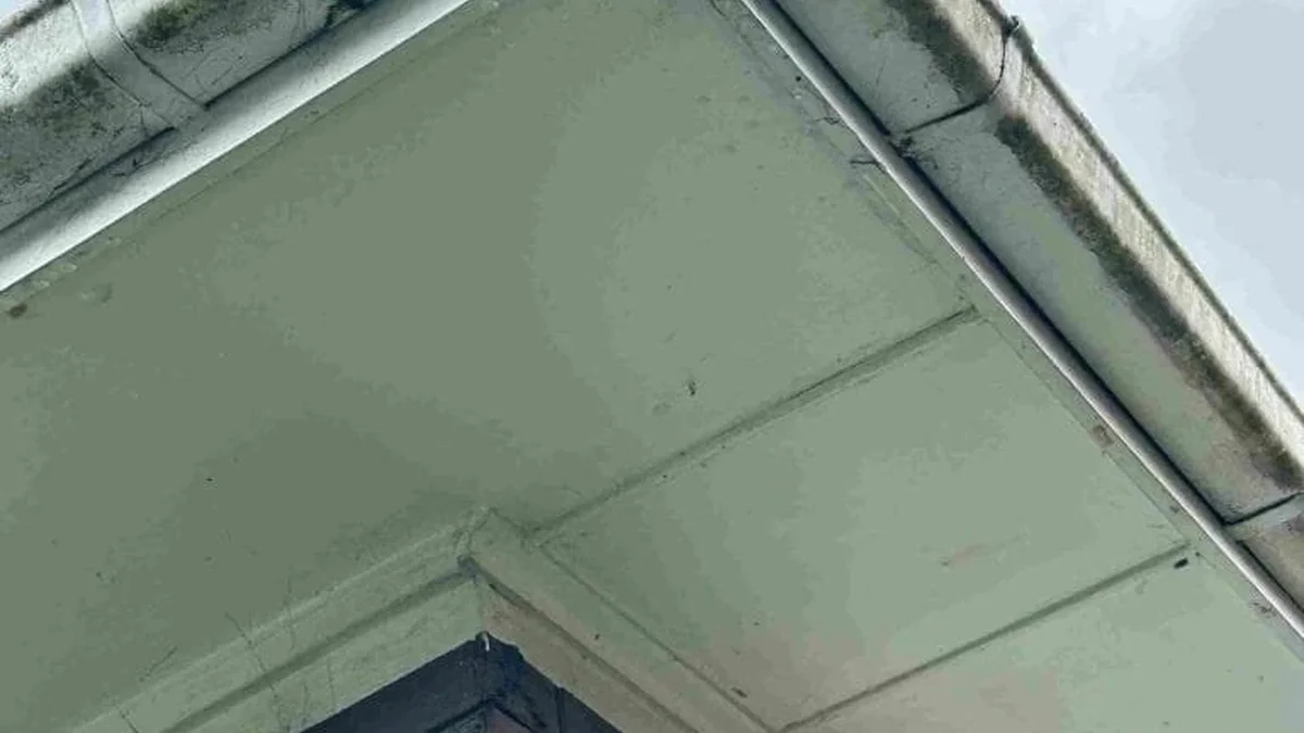 How to Choose a Gutter Service in Auckland: A Complete Guide for Homeowners — My Homes Construct Ltd Auckland