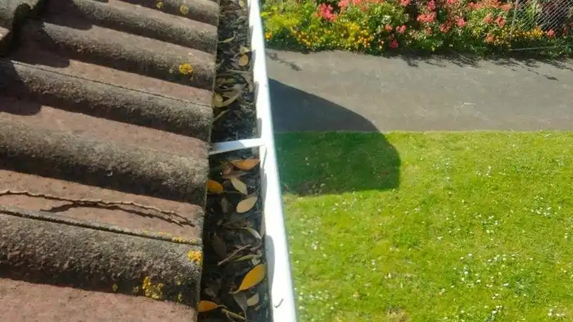 gutter replacement auckland