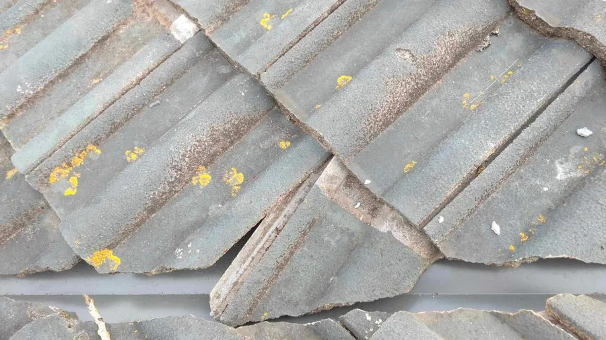 Weathered concrete roof tiles with orange lichen spots and a cracked tile edge, before restoration