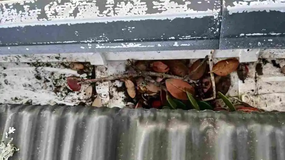 DIY Gutter Repair Tips Anyone Can Do: Save Money & Time — My Homes Construct Ltd Auckland