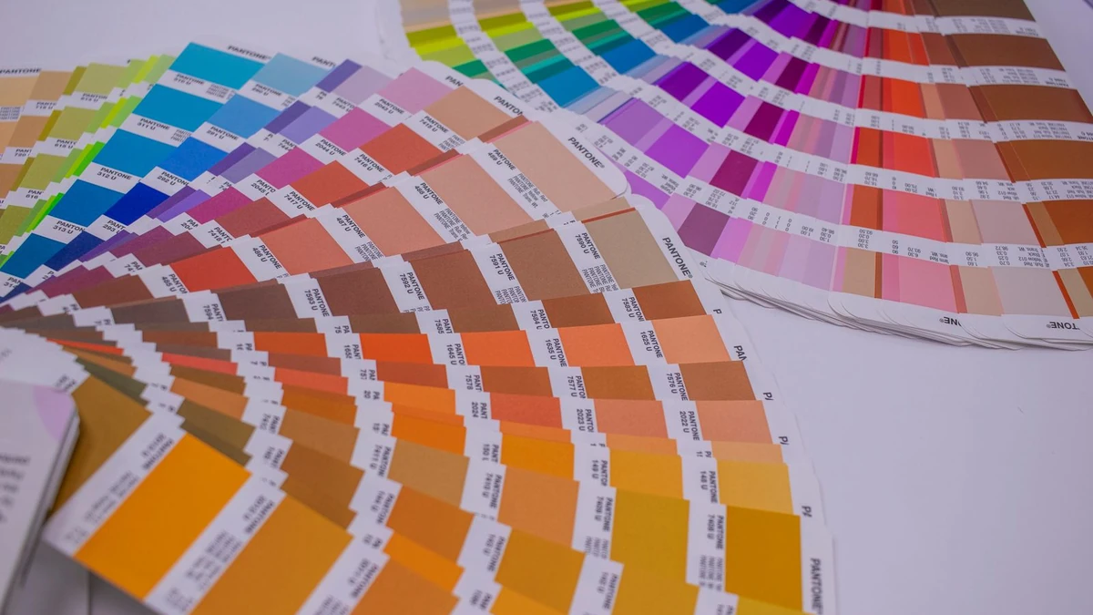 Exterior House Colour Schemes in NZ: How to Choose Colours That Last — My Homes Construct Ltd Auckland