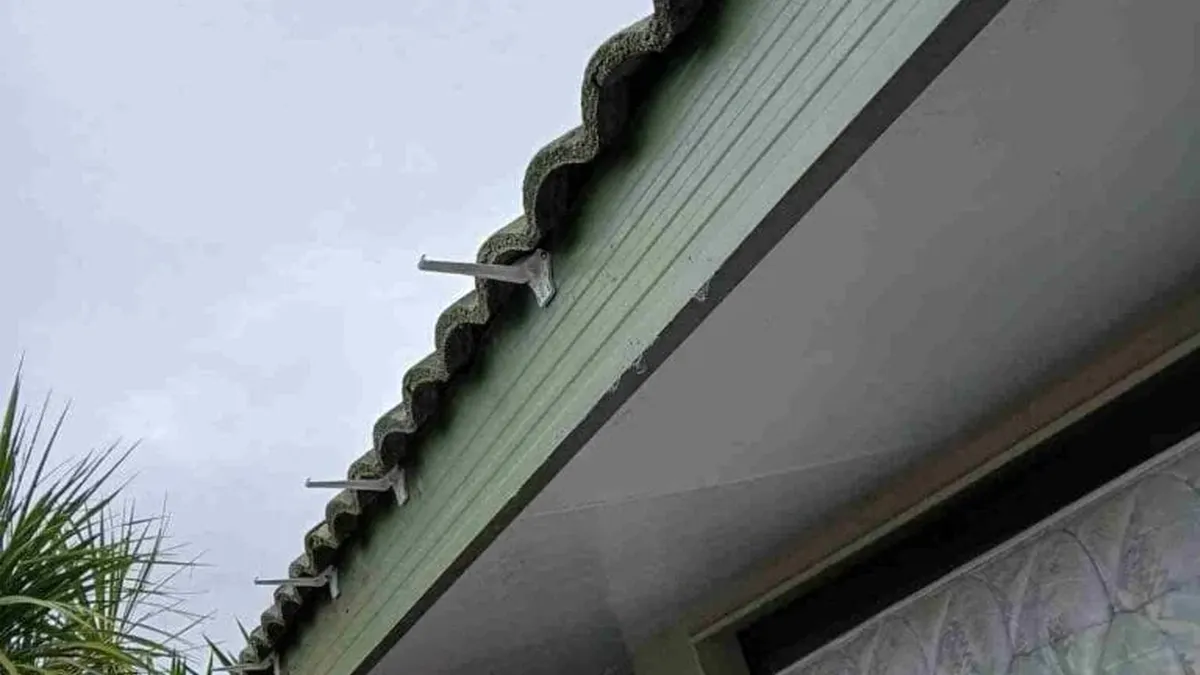 Gutter Cleaning Before Deck Painting: Why Auckland Homeowners Need Both — My Homes Construct Ltd Auckland