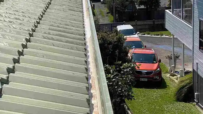 gutter cleaning services in auckland
