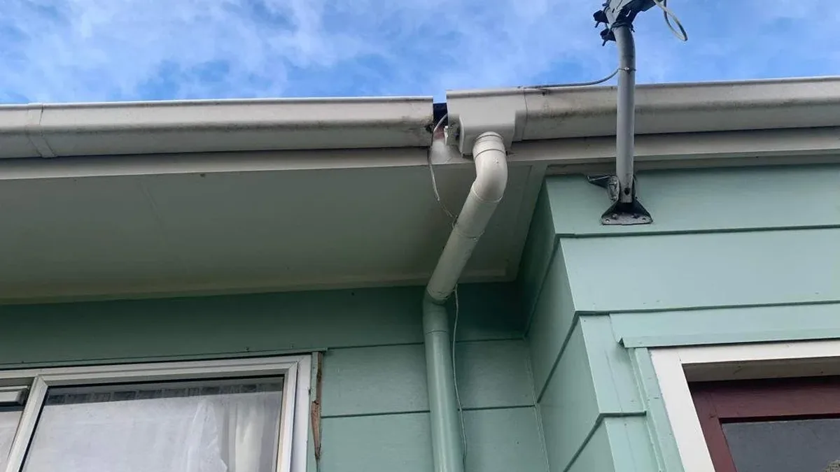 Professional Gutter Cleaning Services in Auckland