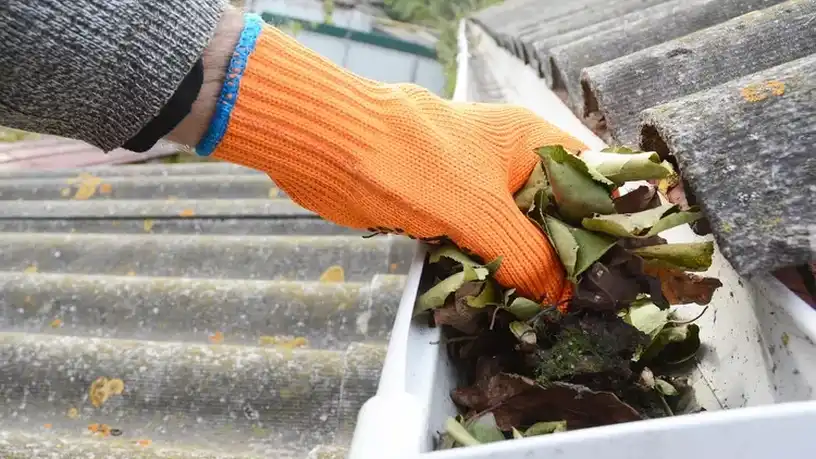 gutter cleaning in auckland