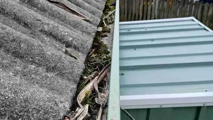 gutter replacement auckland