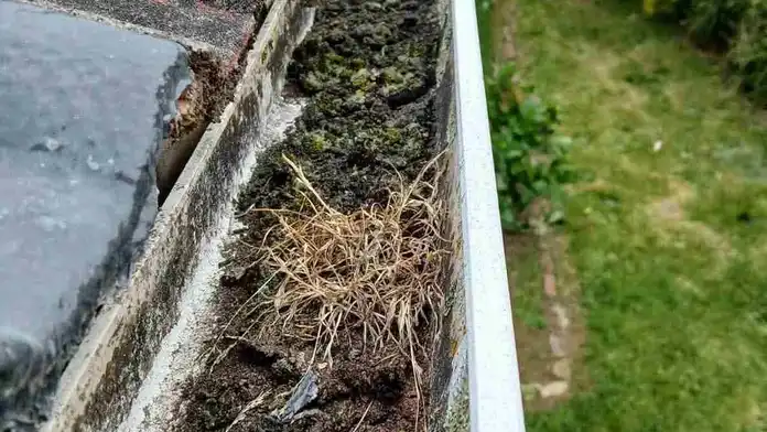gutter installation auckland