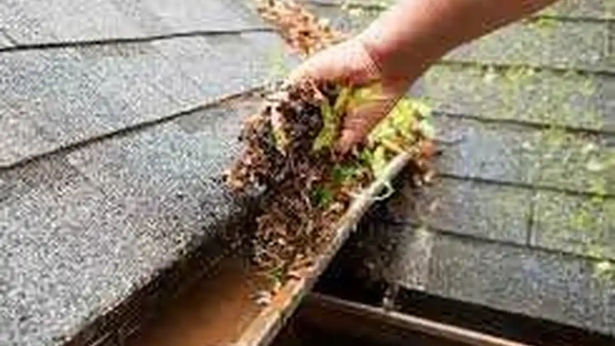 How Much Does Gutter Cleaning Cost in 2025? Your Complete Guide to Auckland Pricing
