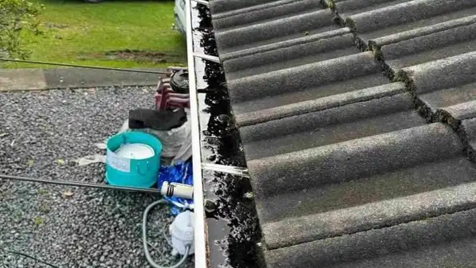 How Much Does Gutter Repair Cost In 2024, Auckland Region? — My Homes Construct Ltd Auckland