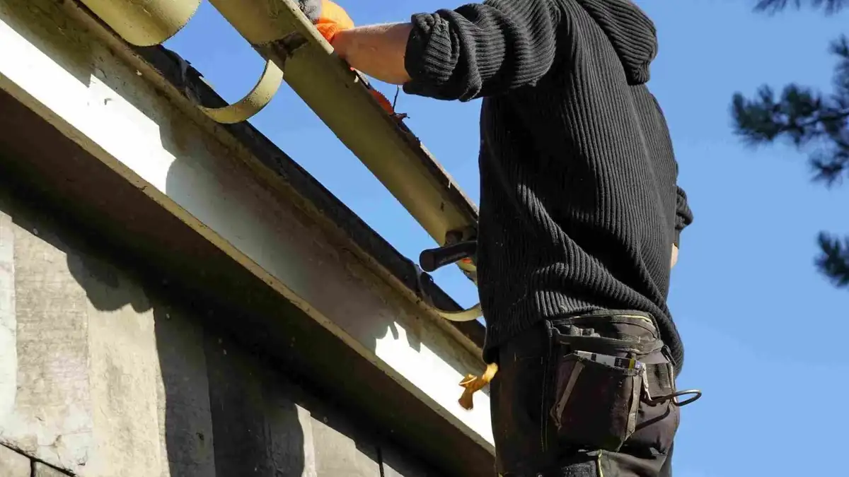 gutter maintenance auckland
