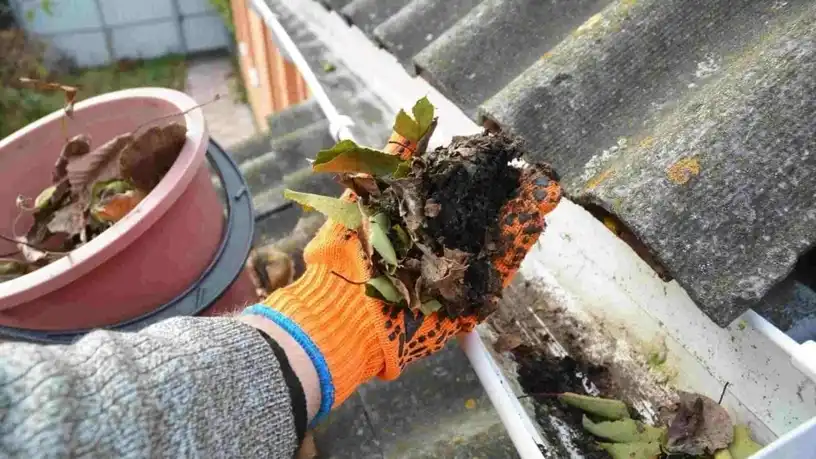 How to Clean Gutters: The Essential Guide for Every Homeowner — My Homes Construct Ltd Auckland