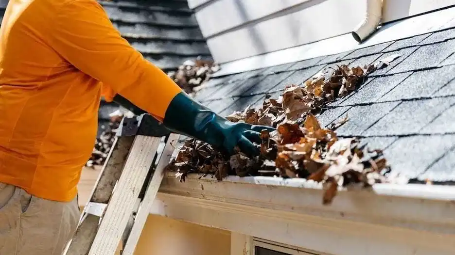 How to Clean Gutters: The Essential Guide for Every Homeowner