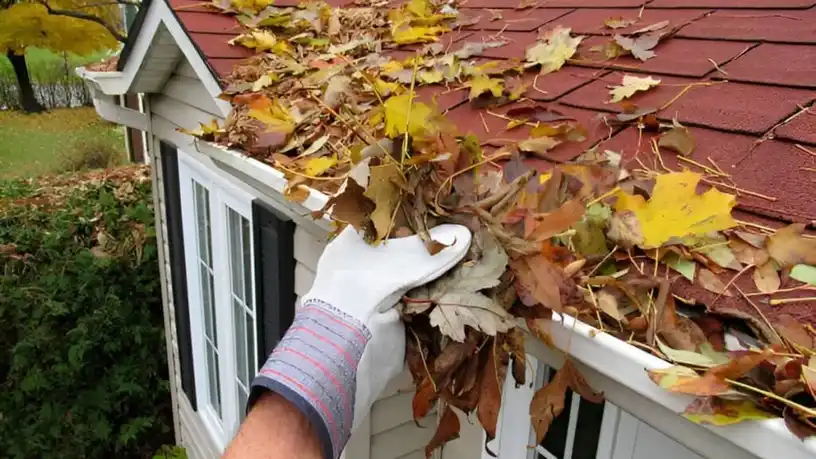 How to Clean Rain Gutters Like a Pro in 3 Easy Steps — My Homes Construct Ltd Auckland