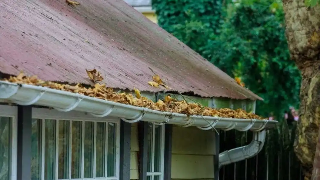 How to Fix Gutters That Overflow in Auckland: A Comprehensive Guide — My Homes Construct Ltd Auckland