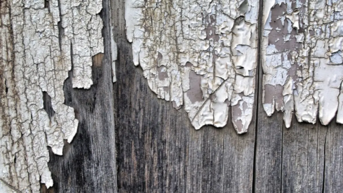 Peeling exterior paint flaking off weathered timber boards, a typical paint failure to fix before repainting
