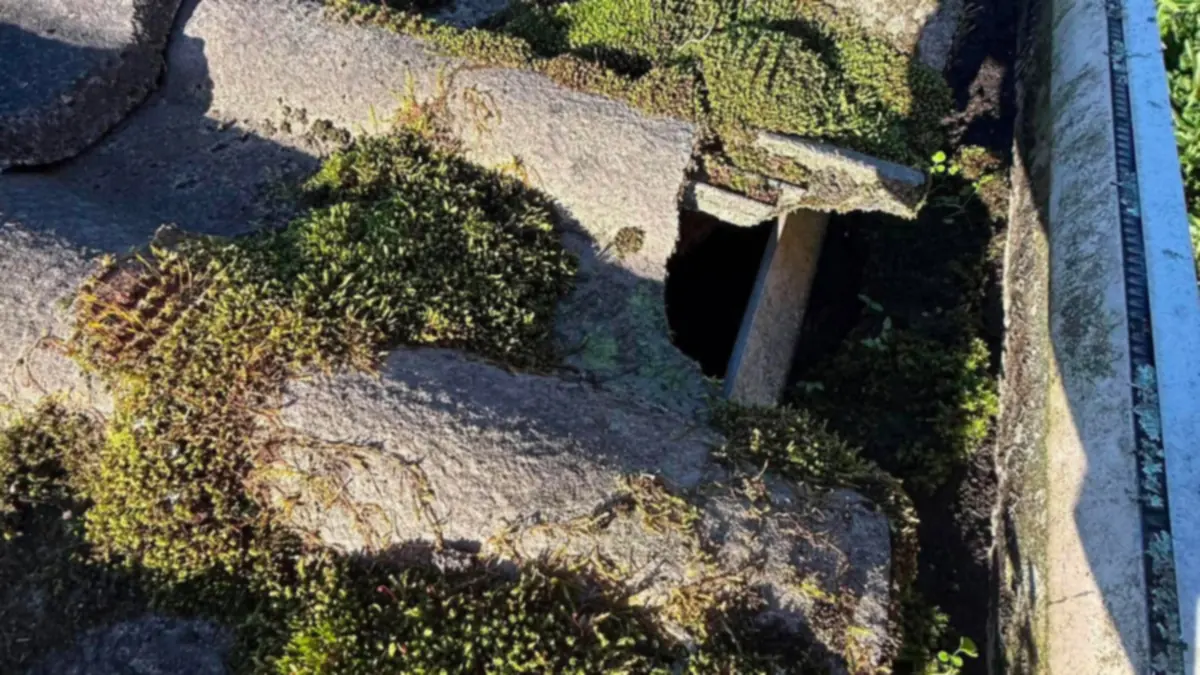 Moss on concrete roof tiles beside the gutter: clear it to prepare your roof for winter