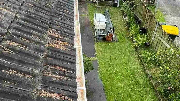gutter maintenance auckland