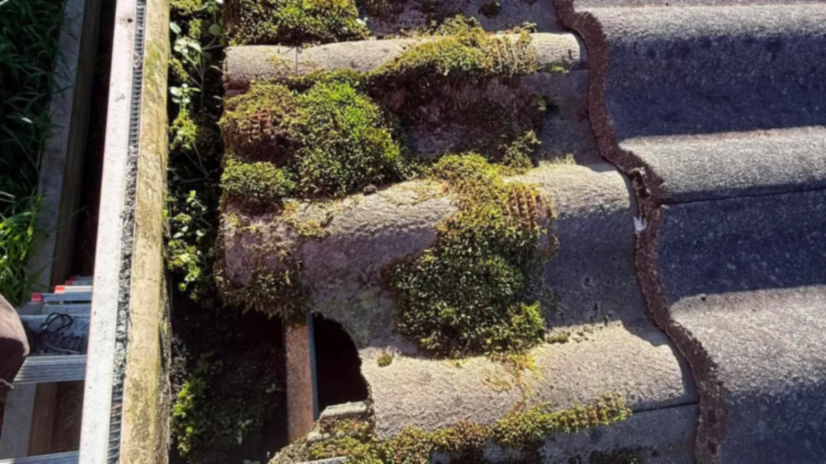 Roof Maintenance Checklist for Auckland Homes: What to Check and How Often — My Homes Construct Ltd Auckland