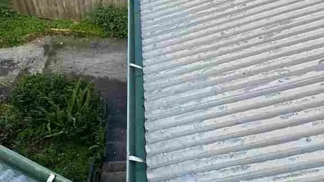 Roof and Gutter Cleaning_13_5_