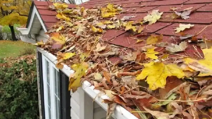gutter replacement auckland