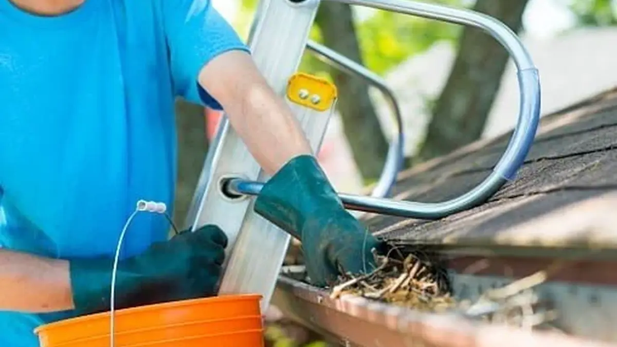 12 Reasons Why Roof and Gutter Cleaning is So Important? — My Homes Construct Ltd Auckland