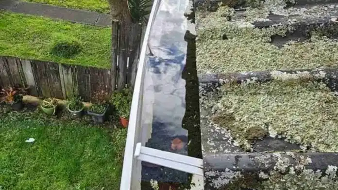 Care of Your Gutters Matters: The Top Reasons to Invest in Gutter Maintenance — My Homes Construct Ltd Auckland