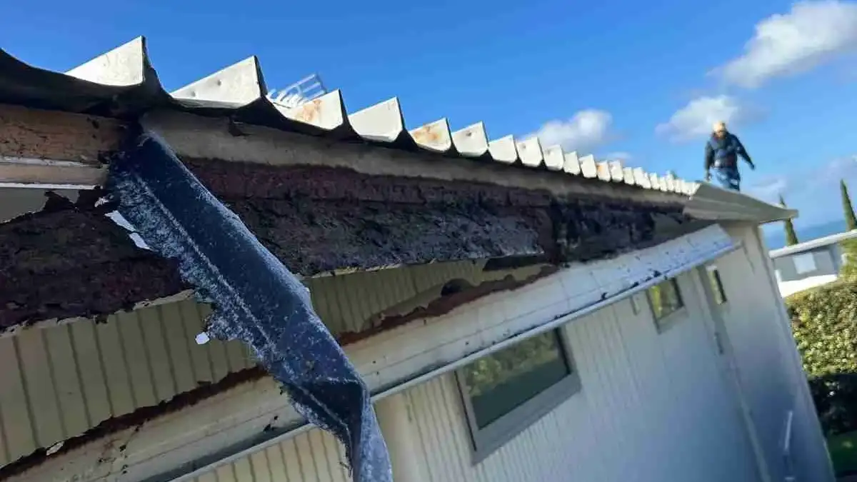 gutter replacement auckland