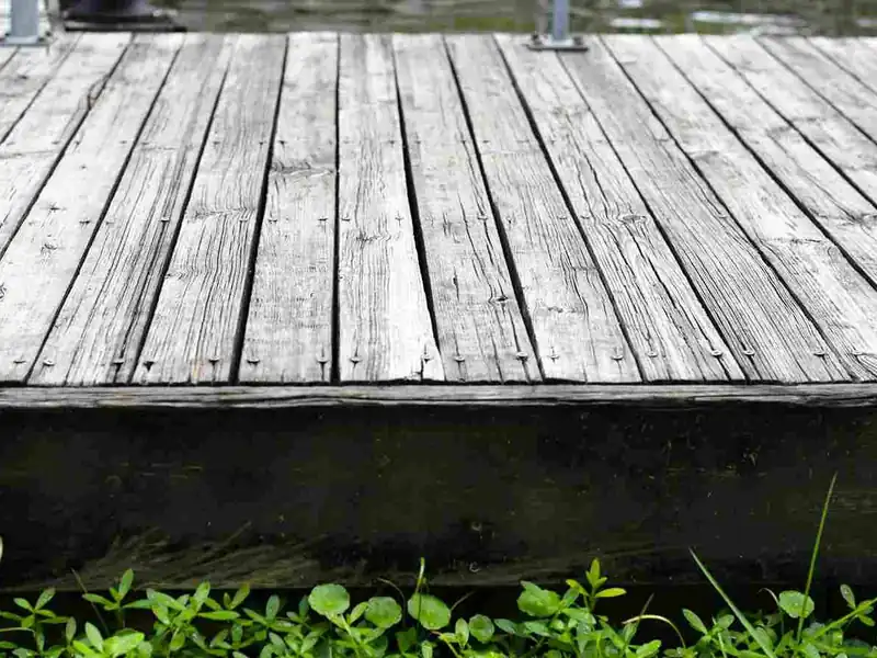 Completed deck Restoration & Stain in Massey, Auckland by My Homes Construct Ltd