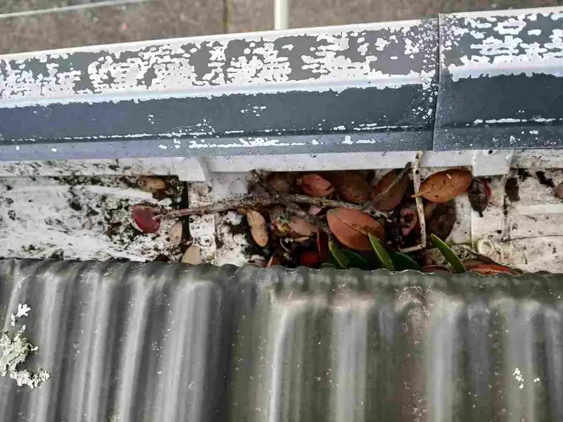 Completed gutter Re-Alignment in Westgate, Auckland by My Homes Construct Ltd