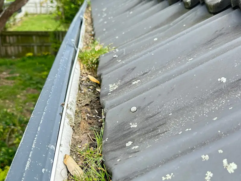 Gutter Cleaning completed in Manukau, Auckland by My Homes Construct Ltd