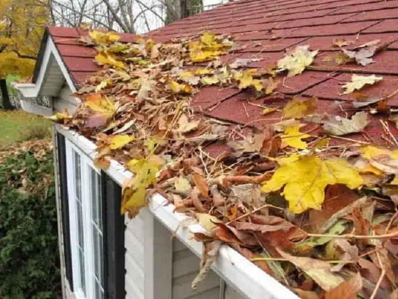 Gutter Cleaning in Auckland by My Homes Construct Ltd