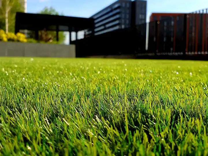 Artificial Grass Install completed in Westgate, Auckland by My Homes Construct Ltd