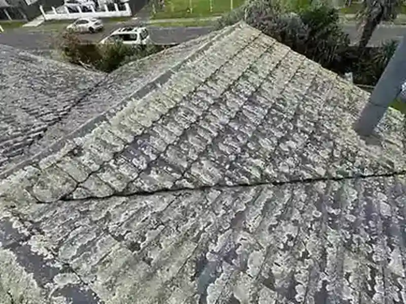 Moss Treatment & Clean completed in Massey, Auckland by My Homes Construct Ltd
