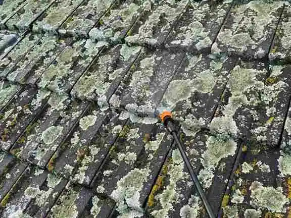 Roof Moss Treatment carried out in Auckland by My Homes Construct Ltd