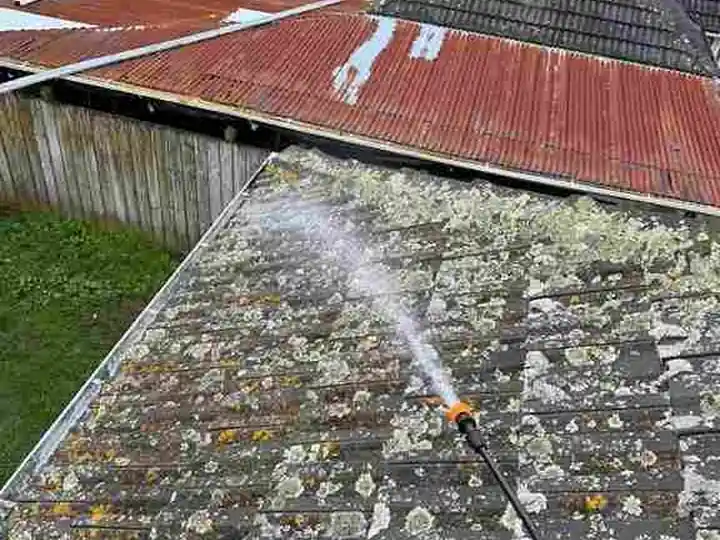 Moss & Lichen Treatment in Auckland by My Homes Construct Ltd
