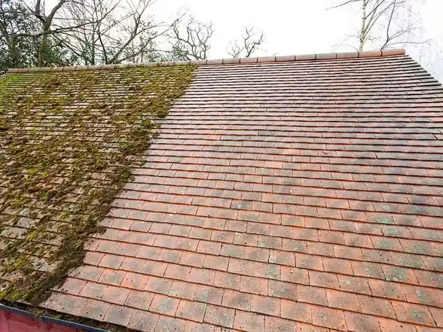 Roof Moss Removal carried out in Auckland by My Homes Construct Ltd