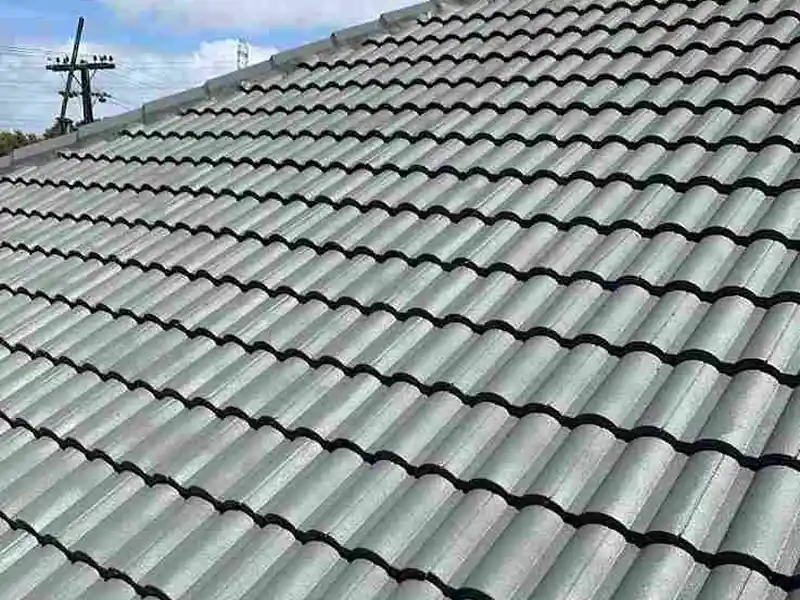 Roof Painting & Coating in Auckland by My Homes Construct Ltd
