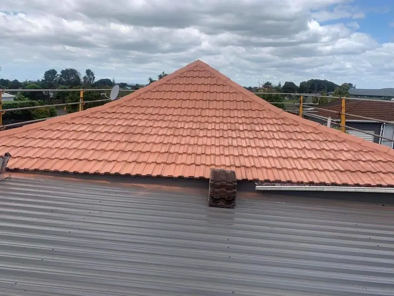 Roof Painting Project in Auckland by My Homes Construct Ltd