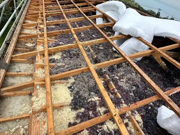 Roof Cleaning & Wash carried out at a North Shore, Auckland property by My Homes Construct Ltd