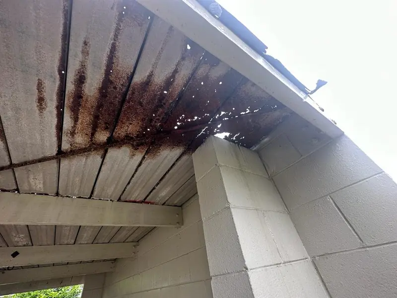 Roof Moss Treatment carried out at a Albany, Auckland property by My Homes Construct Ltd