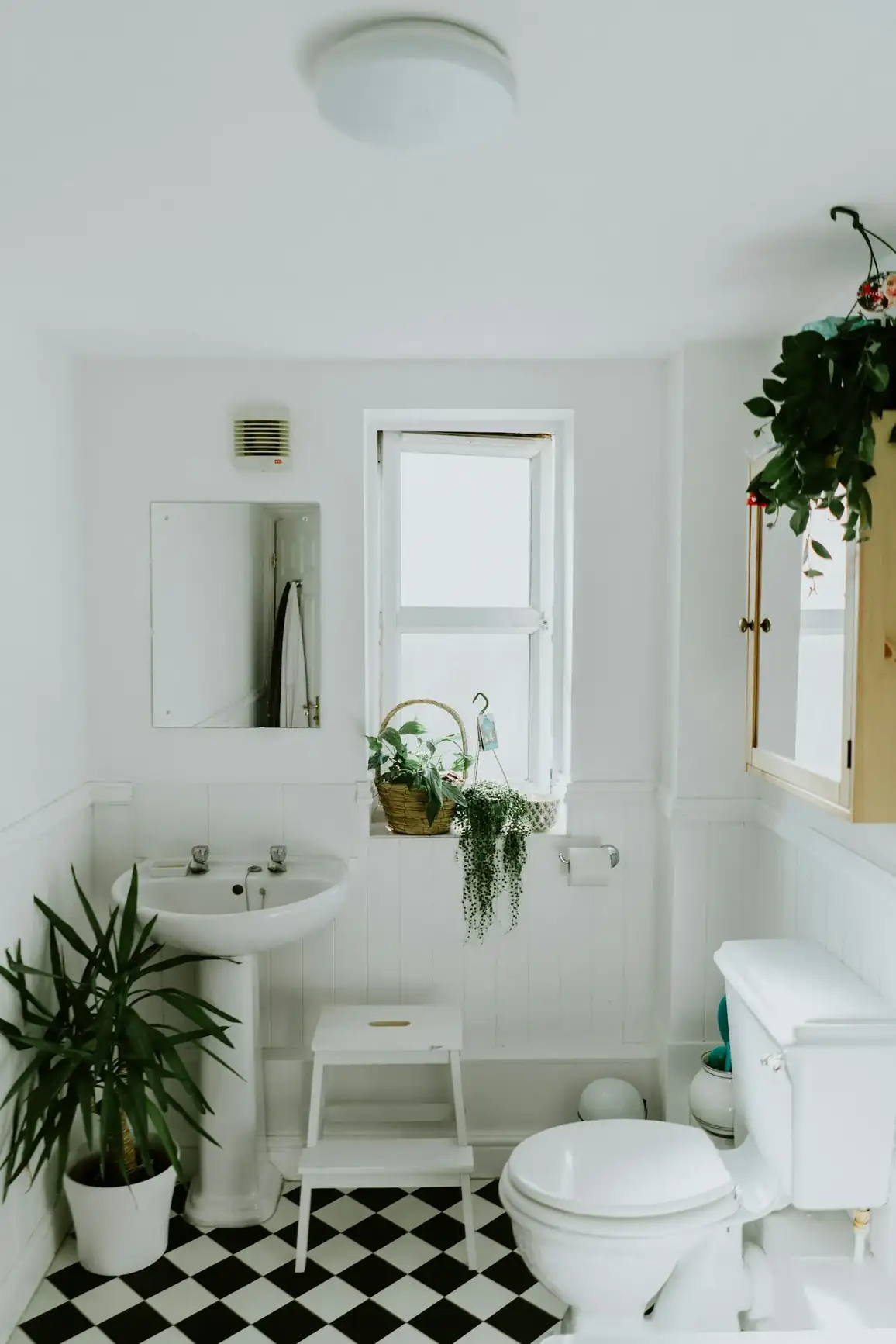 Bathroom Renovation Auckland - My Homes Construct Ltd Auckland