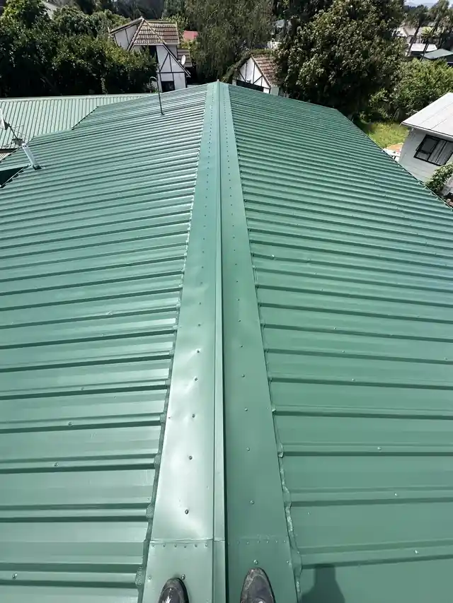 Completed roof painting and sealing on a Henderson, Auckland home by My Homes Construct Ltd