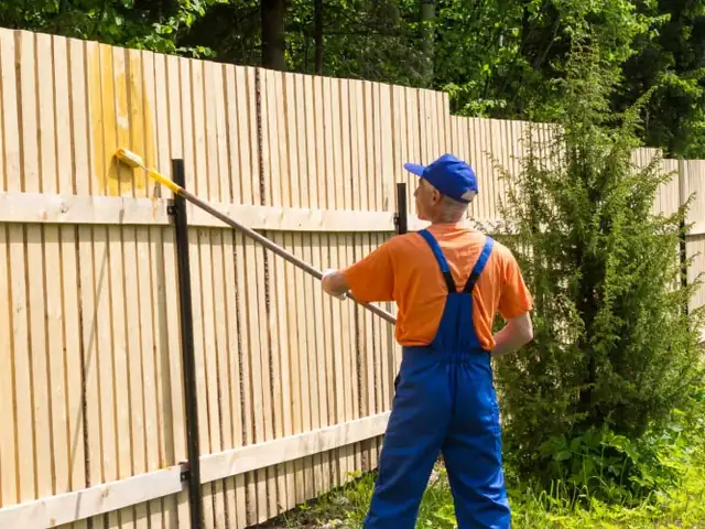Fence painting and staining, Auckland Fence painting and staining in progress on an Auckland property