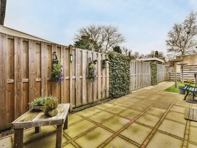 Fence painting and staining, Auckland Completed fence painting and staining on a residential project in Auckland