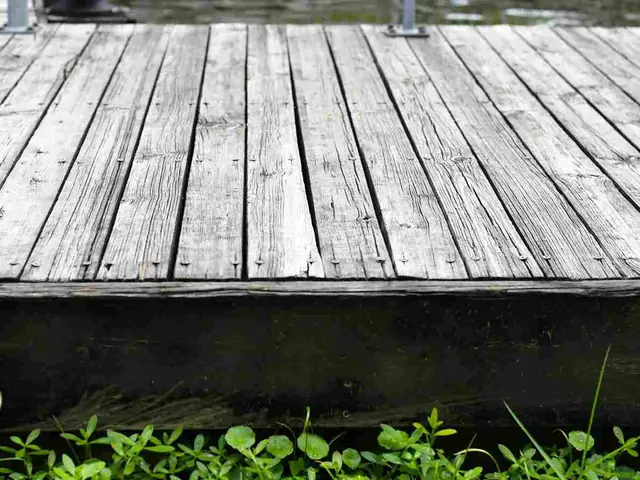 Outdoor deck and fence maintenance, Auckland Outdoor deck and fence maintenance in progress on an Auckland property