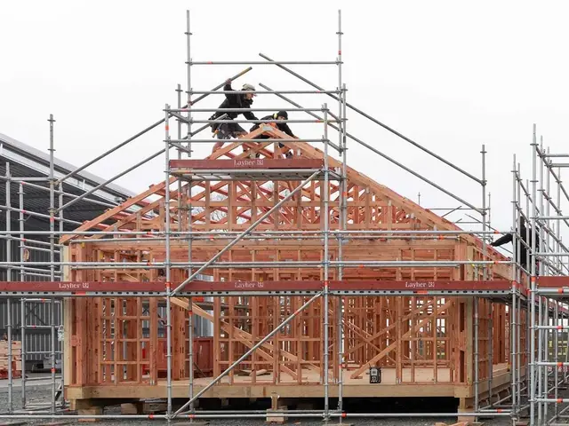 Custom carpentry and timber joinery work in progress on an Auckland property