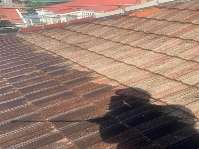 Completed roof cleaning and soft wash on a tiled roof on a residential project in Auckland