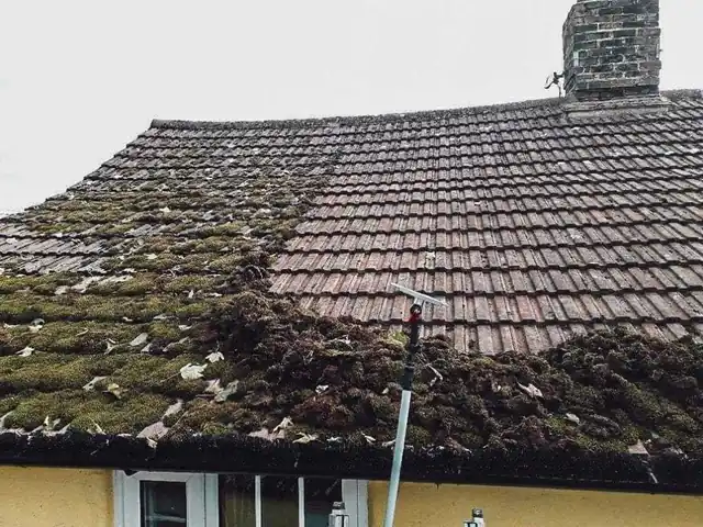 Roof moss treatment and removal completed for an Auckland home by My Homes Construct Ltd